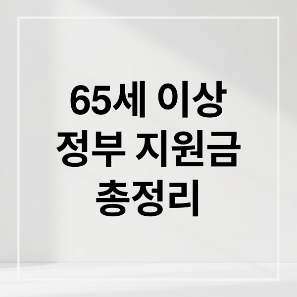 65세 이상
정부 지원금
총정리 (65세 이상 정부지원금)
