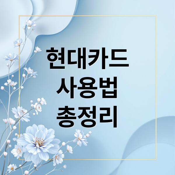 현대카드
사용법
총정리 (현대카드 홈페이지)
