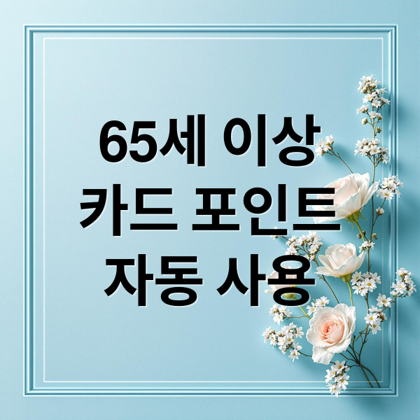 65세 이상
카드 포인트
자동 사용 (65세 이상 내년 2월부터 카드 결제시 포인트 자동사용)