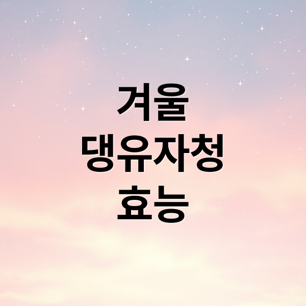 겨울
댕유자청
효능 (댕유자청)