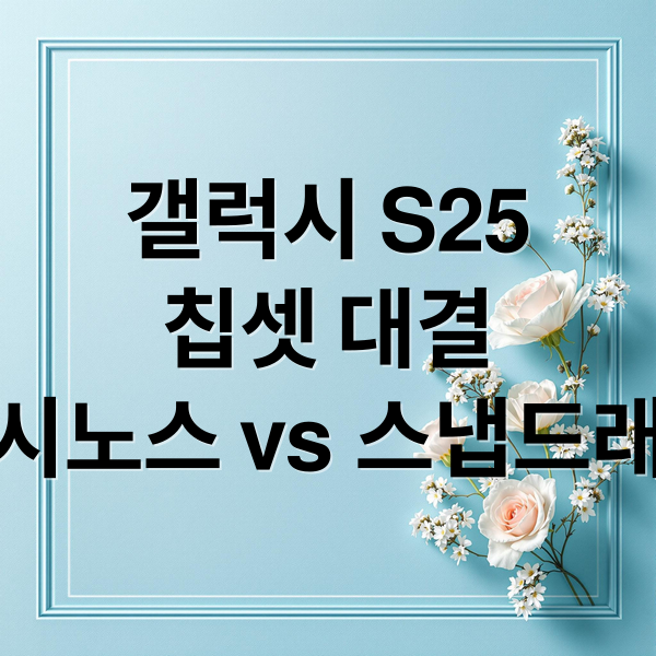 갤럭시 S25
칩셋 대결
엑시노스 vs 스냅드래곤 (엑시노스 2500 스냅드래곤 8 4세대 갤럭시 S25)