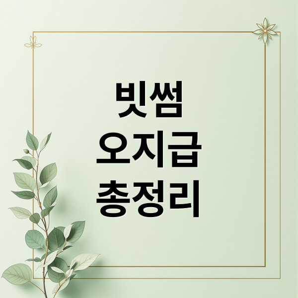 빗썸
오지급
총정리 (빗썸 오지급 규제)