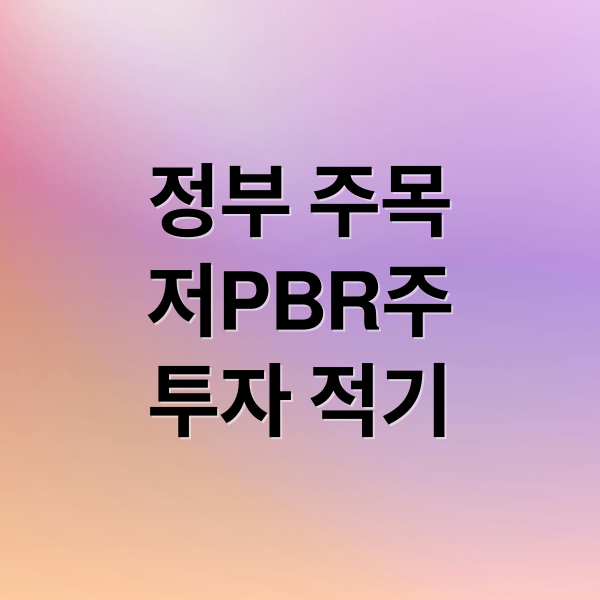 정부 주목
저PBR주
투자 적기 (싸도 너무 싸다, 정부가 콕 찝은 저PBR주 이제 오를까?)