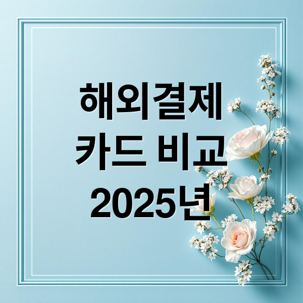 해외결제
카드 비교
2025년 (해외결제 카드 비교)