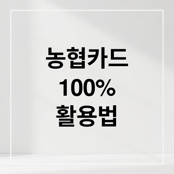 농협카드
100%
활용법 (농협카드 홈페이지)