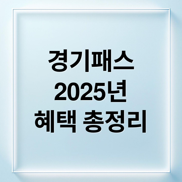경기패스
2025년
혜택 총정리 (경기패스 교통카드 2025년)