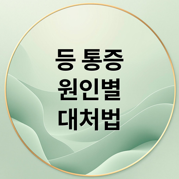 등 통증
원인별
대처법 (등 통증 원인)
