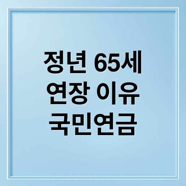 정년 65세
연장 이유
국민연금 (정년퇴직 연령 65세 연장, 현재 상황과 핵심 정보)
