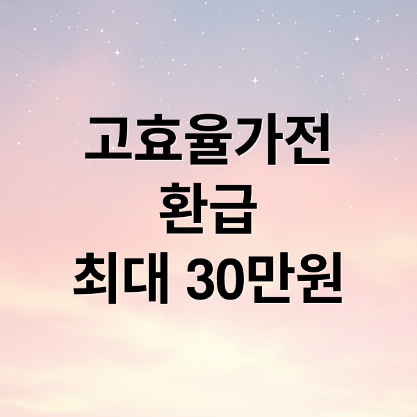 고효율가전
환급
최대 30만원 (취약계층 고효율가전 30만원 할인)