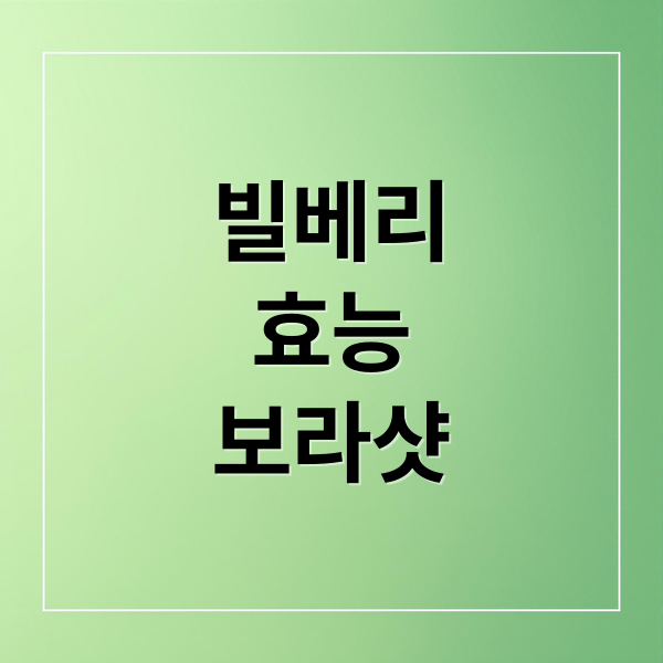 빌베리 효능 보라샷
