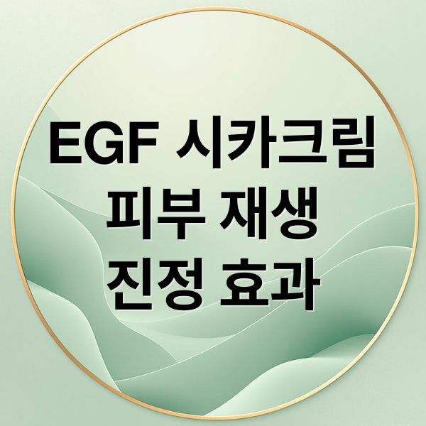 EGF 시카크림
피부 재생
진정 효과 (EGF 재생크림 시카크림 추천)