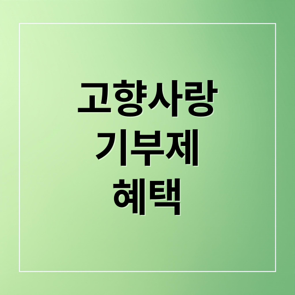 고향사랑
기부제
혜택 (고향사랑 기부제)