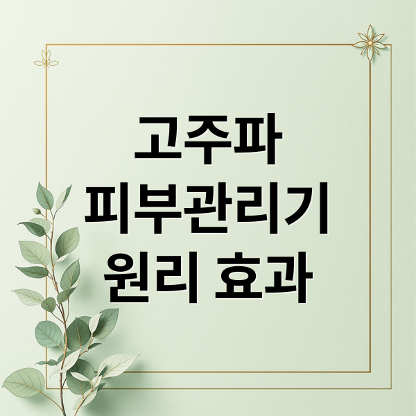 고주파
피부관리기
원리 효과 (고주파 피부관리기 RF 리프팅 추천)