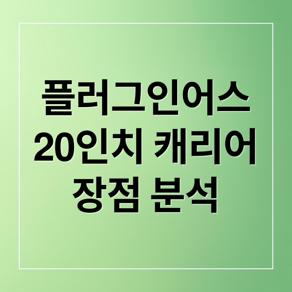 플러그인어스20인치 캐리어장점 분석 (플러그인어스 기내용 캐리어 55cm 20인치)