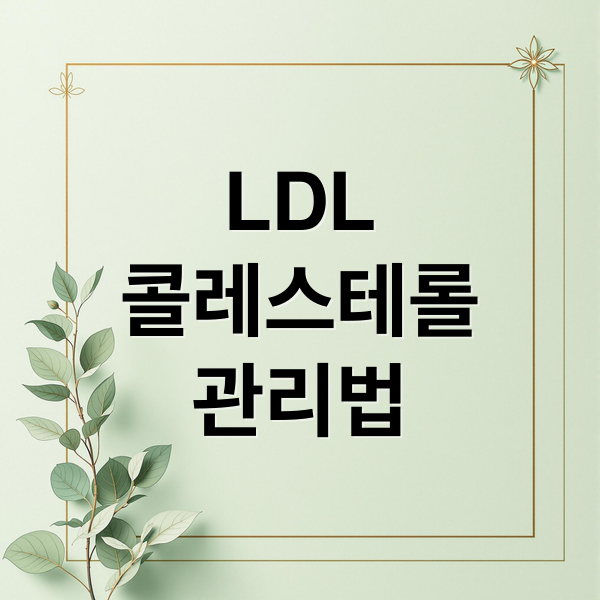 LDL
콜레스테롤
관리법 (LDL 콜레스테롤 정상수치 기준 완벽 분석 및 관리법)