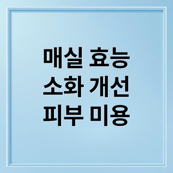 매실 효능
소화 개선
피부 미용 (매실 효능)