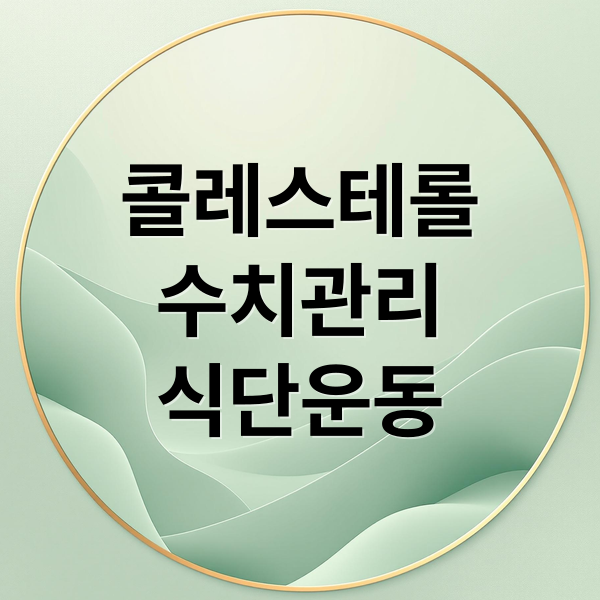 콜레스테롤
수치관리
식단운동 (콜레스테롤 증상 관리법)