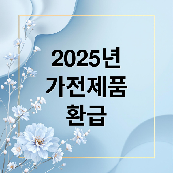 2025년
가전제품
환급 (가전제품 정부지원)