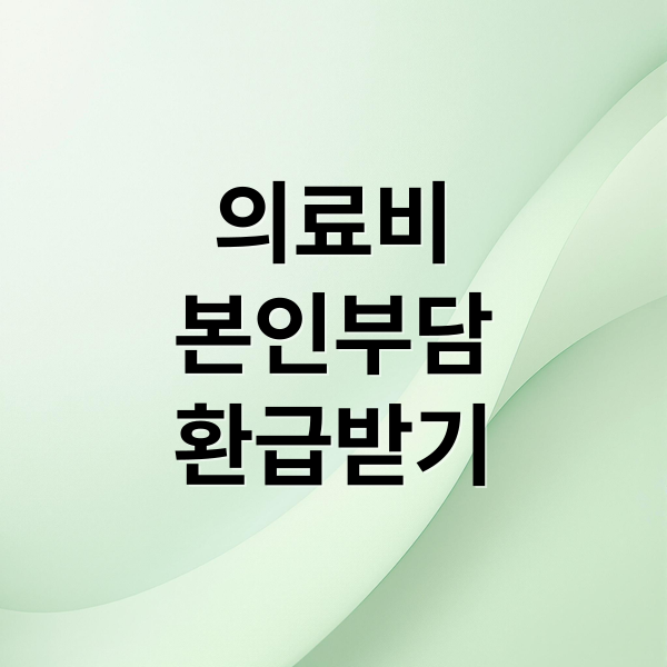 의료비
본인부담
환급받기 (2025 의료비 본인부담액 상한제사후 환급금 신청 조회 지급 일정)