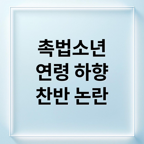 촉법소년
연령 하향
찬반 논란 (촉법소년 연령 하향)