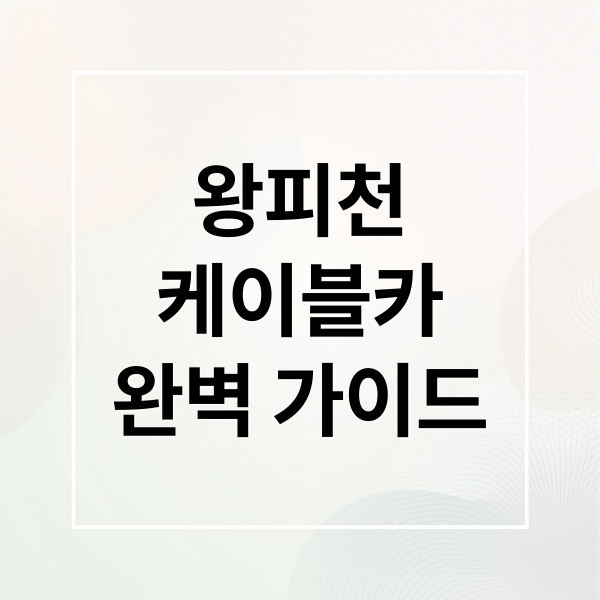 왕피천
케이블카
완벽 가이드 (왕피천 케이블카 예약 가격 후기)