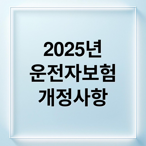 2025년
운전자보험
개정사항 (운전자보험 개정 변경 갱신 가격 필수 등 총정리)
