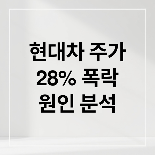 현대차 주가
28% 폭락
원인 분석 (현대차 주가 28% 폭락 원인)