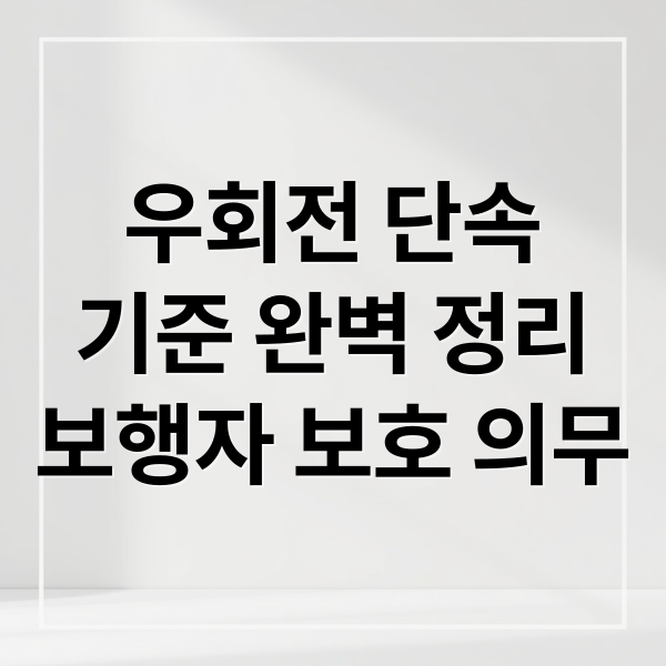 우회전 단속
기준 완벽 정리
보행자 보호 의무 (우회전 단속 기준 일시정지 방법 정리)
