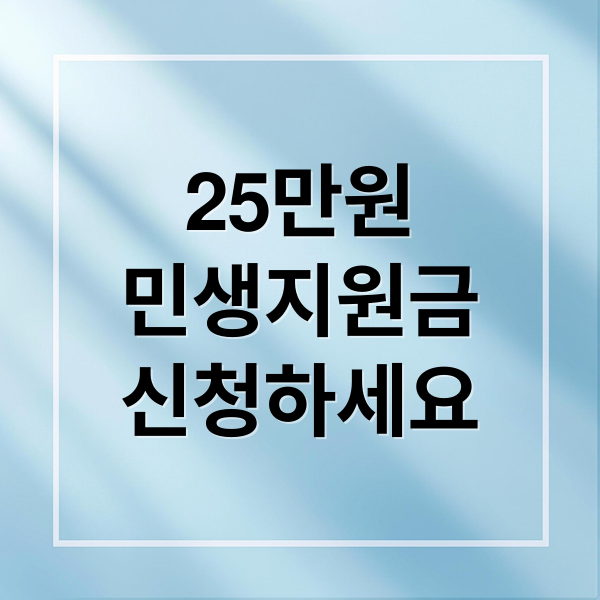 25만원
민생지원금
신청하세요 (25만원 민생지원금)