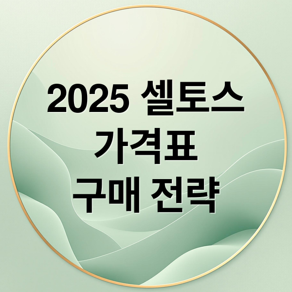 2025 셀토스
가격표
구매 전략 (2025 셀토스 가격표)