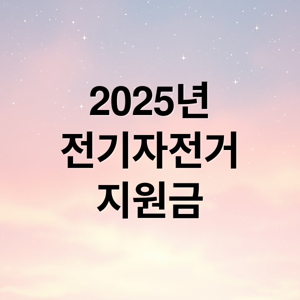 2025년
전기자전거
지원금 (전기자전거 지원금)