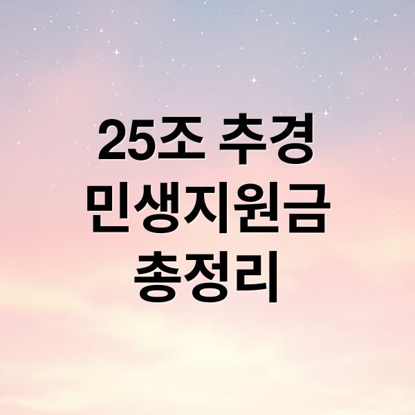 25조 추경
민생지원금
총정리 (25조 추경 민생지원금)