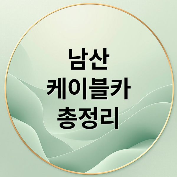 남산
케이블카
총정리 (남산 케이블카 예약)