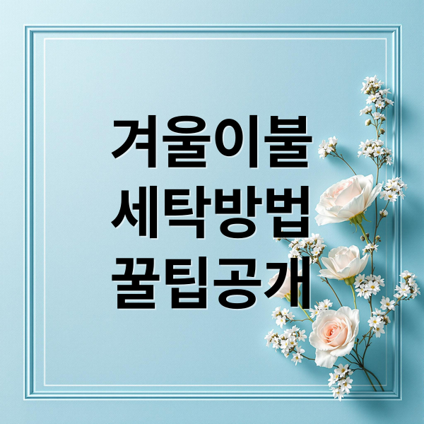 겨울이불
세탁방법
꿀팁공개 (겨울 이불 세탁 방법)