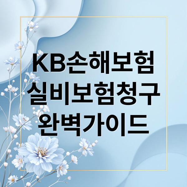 KB손해보험
실비보험청구
완벽가이드 (KB손해보험 실비보험 청구)