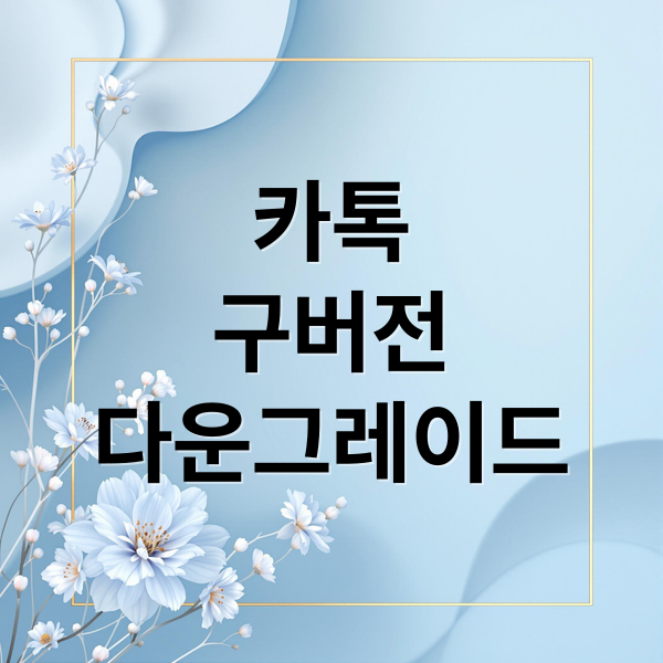 카톡
구버전
다운그레이드 (카카오톡 업데이트 복구)