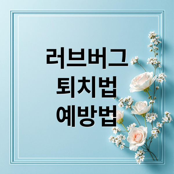러브버그
퇴치법
예방법 (러브 버그 퇴치방법 8가지)
