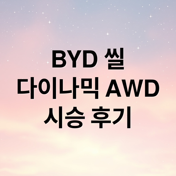 BYD 씰
다이나믹 AWD
시승 후기 (BYD 씰 다이나믹 AWD 시승기)