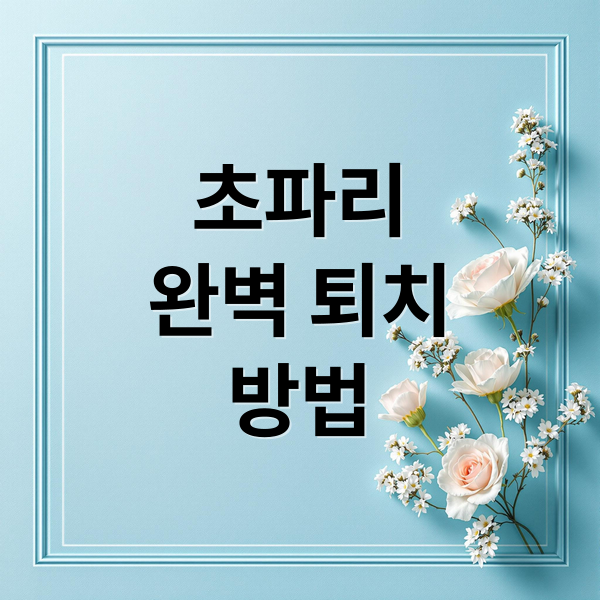초파리
완벽 퇴치
방법 (초파리 트랩 퇴치제)