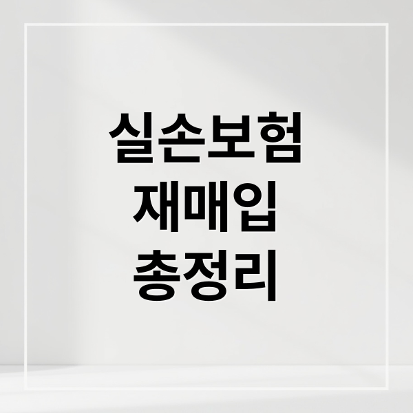 실손보험
재매입
총정리 (실손보험 재매입)
