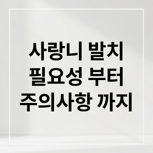 사랑니 발치
필요성 부터
주의사항 까지 (사랑니 발치 시기 여부)