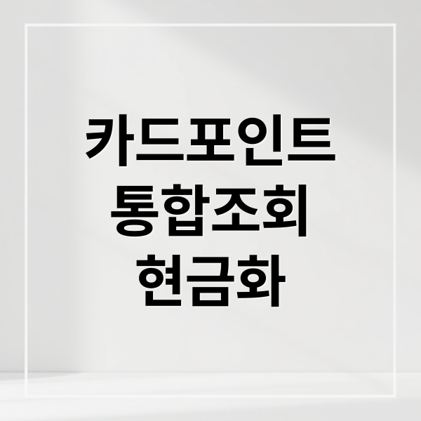 카드포인트
통합조회
현금화 (카드포인트 통합조회 서비스)