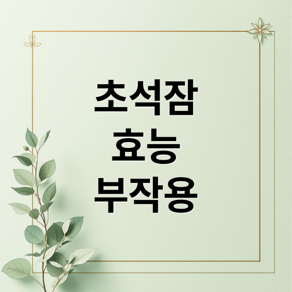 초석잠
효능
부작용 (초석잠 효능 부작용)