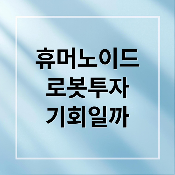 휴머노이드
로봇투자
기회일까 (휴머노이드 로봇 투자)