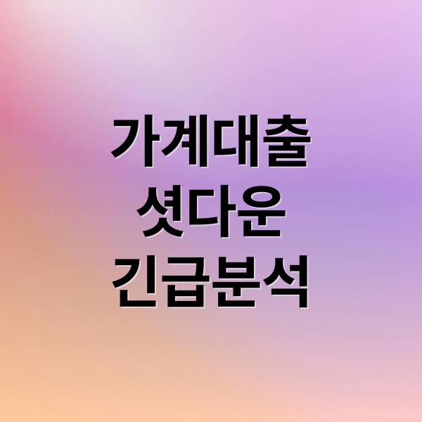 가계대출
셧다운
긴급분석 (가계대출 셧다운 4대 은행)