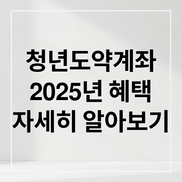 청년도약계좌
2025년 혜택
자세히 알아보기 (2025 청년도약계좌 조건)