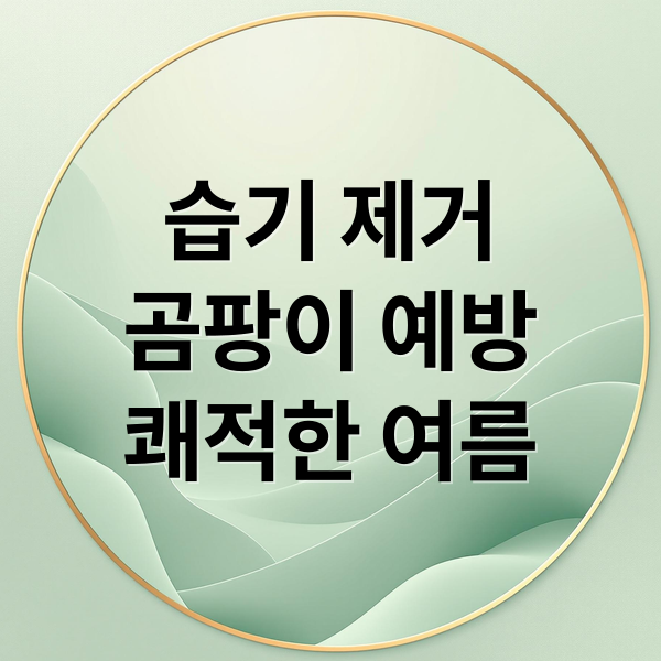 습기 제거
곰팡이 예방
쾌적한 여름 (장마철 습기 제거 방안)