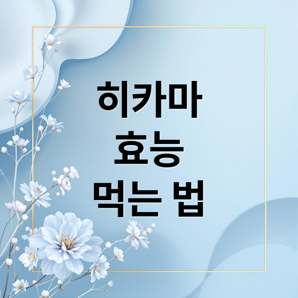 히카마
효능
먹는 법 (히카마 효능 부작용)