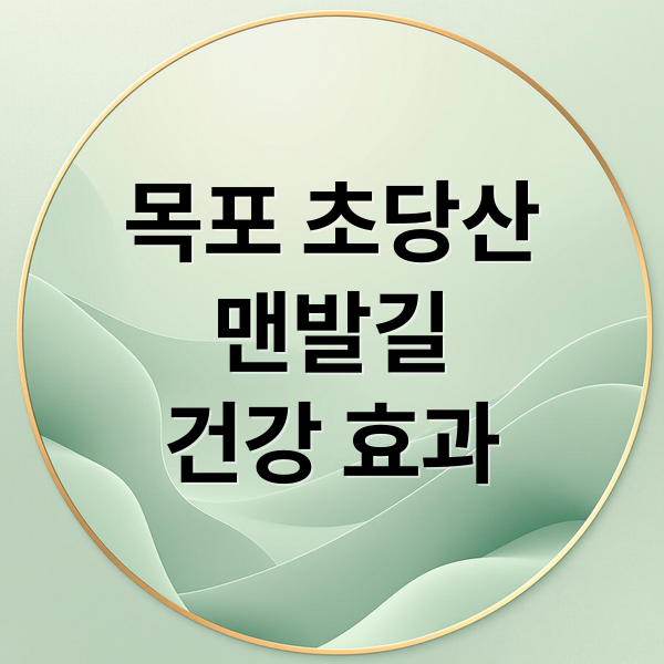 목포 초당산
맨발길
건강 효과 (초당산 맨발클럽 맨발여행)