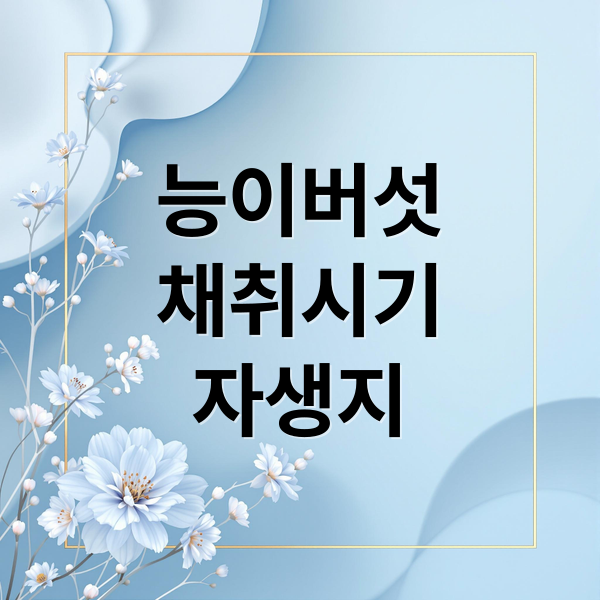 능이버섯
채취시기
자생지 (능이버섯 채취시기 보관법)